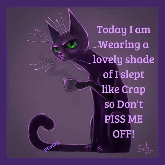 Meet your Posher, Lyla - Picture 1 of 1